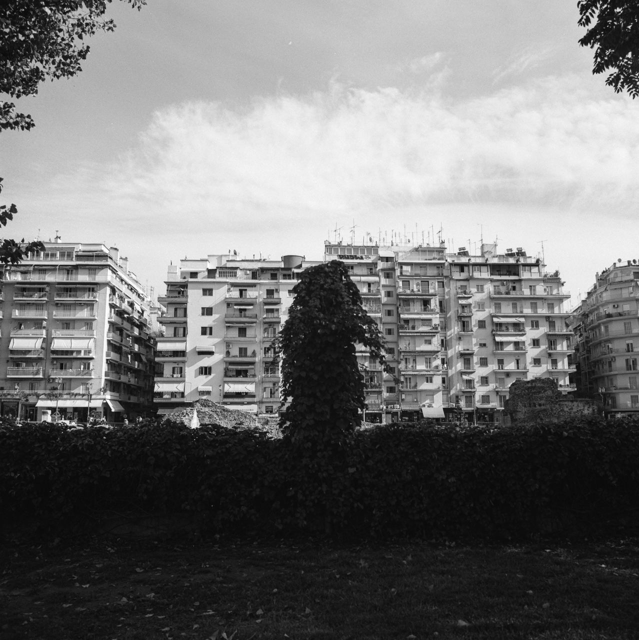 architecture, building exterior, built structure, black and white, sky, building, city, monochrome photography, monochrome, nature, tree, urban area, black, no people, cloud, residential district, plant, house, cityscape, outdoors, skyline, day, white