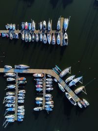 Aerial view of boats in marina