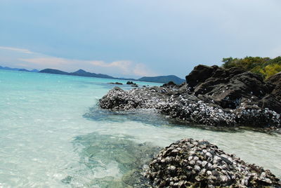 Scenic view of sea against sky