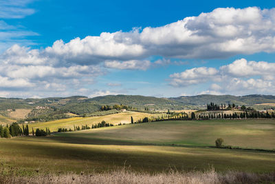 Scenic view of farm against sky