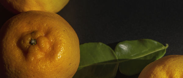 Close-up of orange fruit