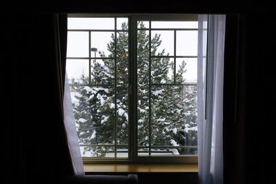 Trees seen through window during winter