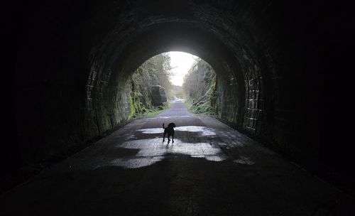 tunnel