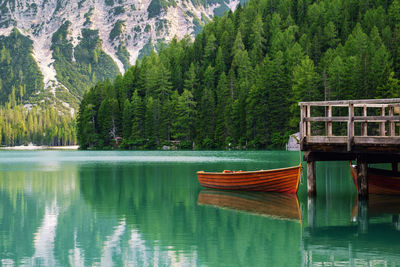 Scenic view of lake in forest