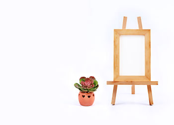 Potted plant and canvas against white background