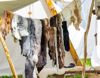 Furs on a medieval market spectacle