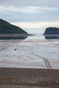 Scenic view of beach against sky