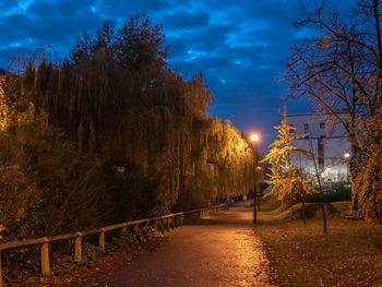 Street amidst trees against sky at night
