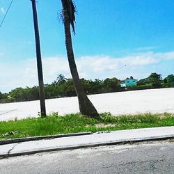 Road by trees against sky