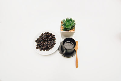 High angle view of food on table against white background