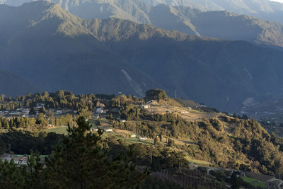 High angle view of trees and mountains