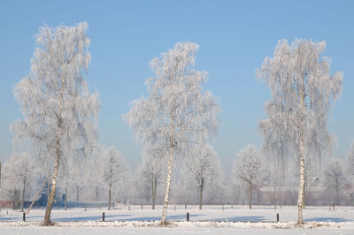 Winter time in the germanmuensterland