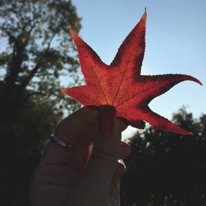 Low angle view of red object