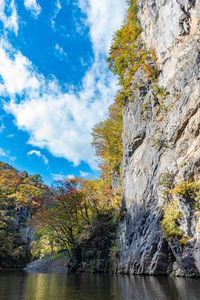 Trees and rocks against sky