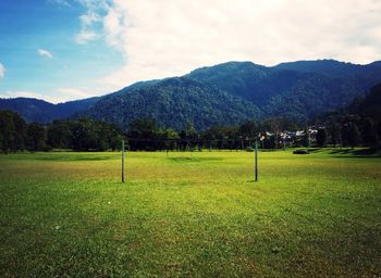 Scenic view of grassy field against sky