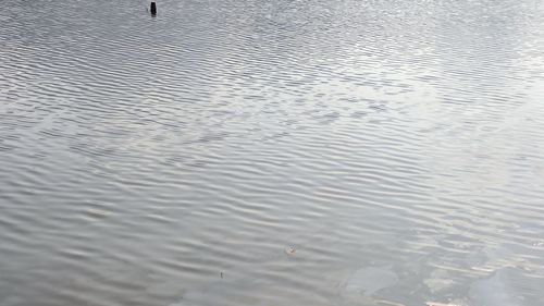 Full frame shot of rippled water
