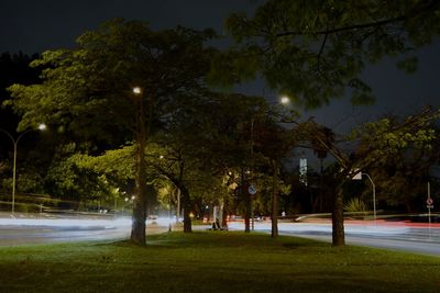 Empty road amidst trees at night