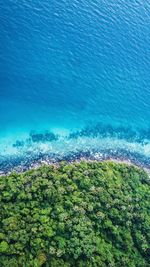 High angle view of sea shore