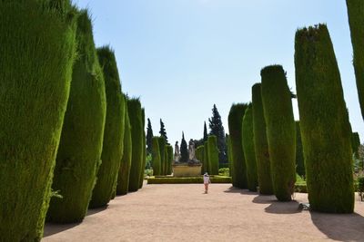 Panoramic view of trees against clear sky