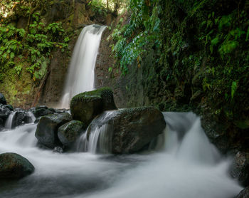 View of waterfall in forest