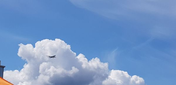 Low angle view of airplane flying in sky