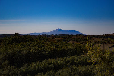 Scenic view of landscape against clear blue sky