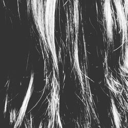 Full frame shot of night