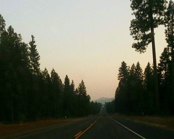 Road amidst trees against clear sky