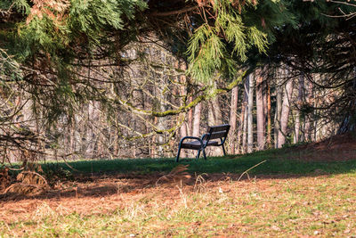 Bicycle on bench in forest