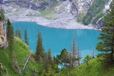 High angle view of trees by lake