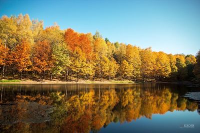 Scenic view of lake by trees against clear sky