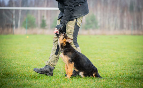 Low section of man with dog on field