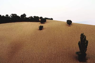 Scenic view of landscape against clear sky