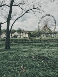 Trees on field against cloudy sky