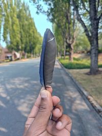 Close-up of person holding umbrella on road