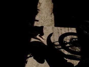 Low section of man standing on shadow