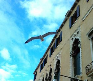 Low angle view of bird on house against sky