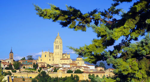 View of trees and buildings against sky