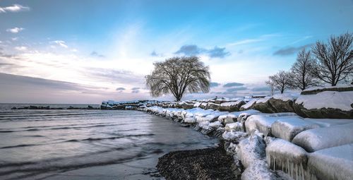 Snow covered landscape