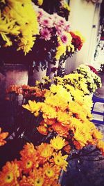 Close-up of yellow flowers