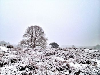 Scenic view of snow covered landscape