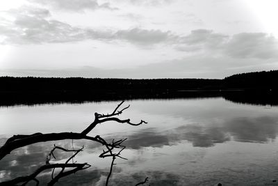 water