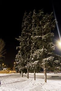 Illuminated christmas tree against sky at night during winter