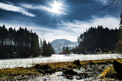 Scenic view of landscape against sky