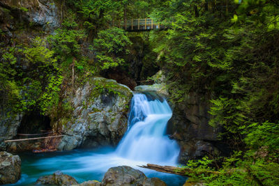 Scenic view of waterfall in forest