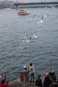 High angle view of seagulls flying over sea