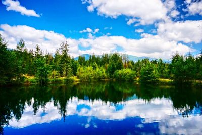 Reflection of trees in lake against sky
