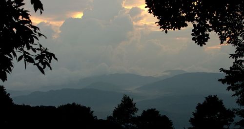 Silhouette of trees against cloudy sky