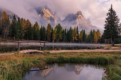 Scenic view of lake by trees against sky