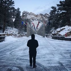 Rear view of man standing on snow covered trees